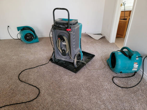 Best Water damage cleanup near me  in Poydras, LA
