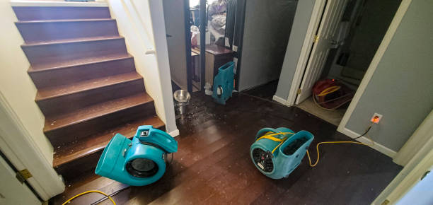 Best Water damage restoration near me  in Poydras, LA