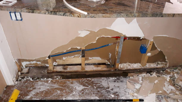 Best Flooded house restoration  in Poydras, LA