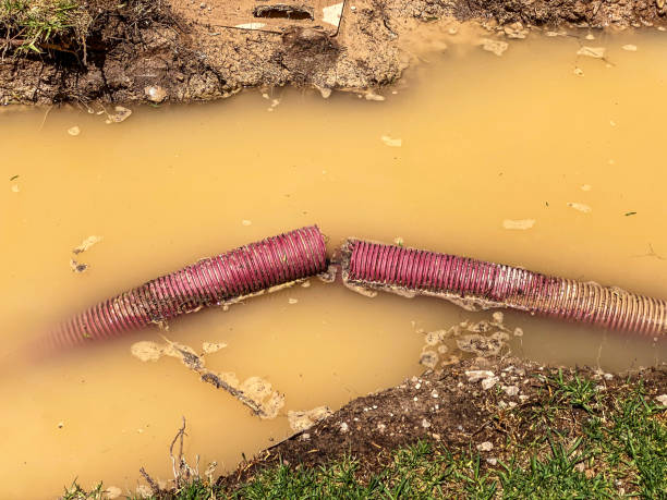 Best Water damage restoration insurance claims  in Poydras, LA